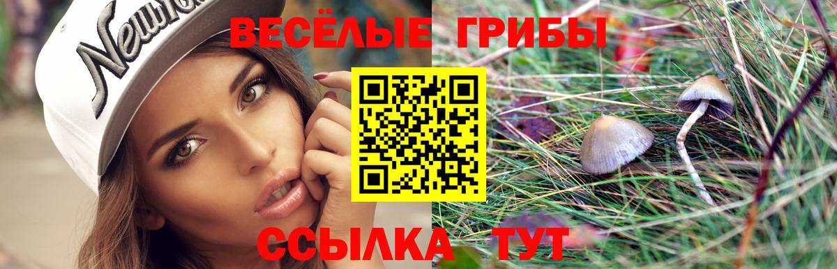 Донской  Галлюциногенные грибы Psilocybe  Галлюциногенные грибы мицелий  Вход с VPN 