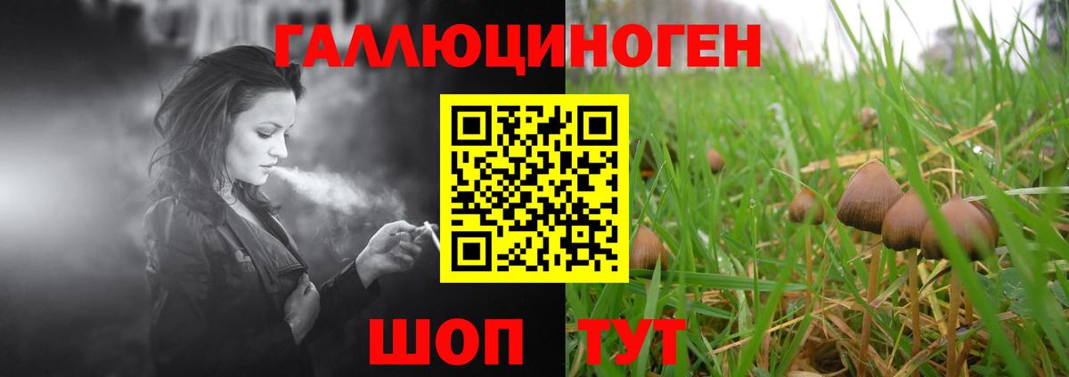 Псилоцибиновые грибы прущие грибы Донской